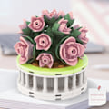 Miniatyrbillede 1 af 9: Sukkulent byggestensblomst H H H