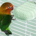Pikkukuva 3 / 5: Bird Grinding Claw Stick kiinnike Lelu Lintuhäkkitarvikkeet