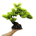 Miniatyrbild 1 av 5: Konstgjorda vattenväxter akvariumväxter Aquarium Bonsai Tree