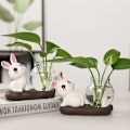 Miniatyrbillede 8 af 10: Hydroponiske plantevaser Transparent glasvase C C C