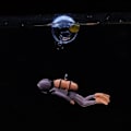 Miniatyrbild 6 av 6: Simulation Diver Floating Diver Nedsänkt Dekoration SVART black