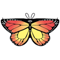Miniatyrbilde 1 av 10: Butterfly Cape Butterfly Wings Shawl 02 02 02