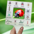 Pikkukuva 5 / 9: Nature Guide Finder Nature Viewfinder 2 2 2