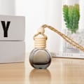Miniatyrbild 3 av 6: 10 st hängande bil luftfräschare Diffuser bil parfymflaskor