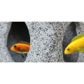 Miniatyrbillede 4 af 7: Cave Hideout House Decor Stone