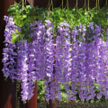 Miniatyrbillede 6 af 10: Simuleret Wisteria Tofu Budding 3 3 3