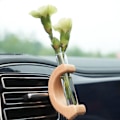 Miniatyrbillede 3 af 9: Reagensglas Vase i massivt træ Mini Bonsai Vase 1 1 1