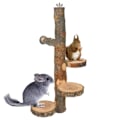 Pikkukuva 1 / 5: Bird Toy Parrot Stand Lintujen ahven alusta