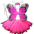 Pikkukuva 6 / 10: Lasten pukurekvisiitta Butterfly Wings -setit 11 11 11