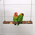 Pikkukuva 3 / 4: Bird Swing Swing Lelut Häkkipurulelut