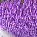 Miniatyrbillede 9 af 10: Simuleret Wisteria Tofu Budding 3 3 3