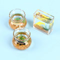 Miniatyrbilde 7 av 8: Miniatyr Fish Tank Aquarium Dollhouse SQUARE SQUARE Square