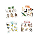 Pikkukuva 8 / 8: Bird Pun Coasters Puiset lasinaluset 6kpl 6kpl 6pcs