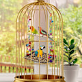 Pikkukuva 6 / 6: Bird Swing Lelut Riippumatto Swing Mat Lintukiipeily Riippumatto