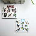 Pikkukuva 3 / 8: Bird Pun Coasters Puiset lasinaluset 6kpl 6kpl 6pcs