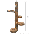Pikkukuva 2 / 5: Bird Toy Parrot Stand Lintujen ahven alusta