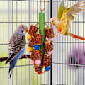 Pikkukuva 4 / 6: Bird Lelut Papukaija Chew Lelut Hampaiden hiontalelu