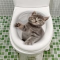 Miniatyrbillede 7 af 10: 3D-kattetoiletklistermærker Livlige dyredekaler 5 5 5
