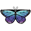 Miniatyrbilde 1 av 10: Butterfly Cape Butterfly Wings sjal 04 04 04