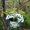 Miniatyrbild 8 av 10: Växthängare i läder Vägghängande planteringhylla VIT S White S