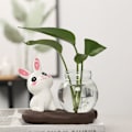 Miniatyrbillede 1 af 10: Hydroponiske plantevaser Transparent glasvase A A A