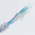 Miniatyrbillede 3 af 10: 1 stk. Soft Fishing Lure Rejeblækspruttekrog 04 04 04