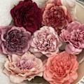 Pikkukuva 5 / 10: Peony Flower -hiusklipsi Tekokukkahiusneulat C C C