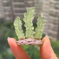 Miniatyrbilde 4 av 9: Simulert Coral Model Artificial Coral 1 SETT 1 SETT 1 Set