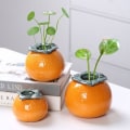Miniatyrbilde 6 av 10: Blomsterpotte Plantepotte MPERSIMMON PERSIMMON MPersimmon
