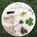 Miniatyrbilde 5 av 10: Flower Leaf Collector Boards Tre Collector Board C C C
