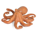 Miniatyrbillede 1 af 10: Marine Molluscs Model Simulation Squid Octopus 08 08 08