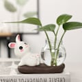 Miniatyrbillede 1 af 10: Hydroponiske plantevaser Transparent glasvase B B B