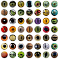 Miniatyrbild 1 av 10: 20st/10 par Eyes Crafts Eyes Puppet Crystal Eyes 16MMCOLOR 16mmcolor Random