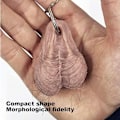 Pikkukuva 9 / 9: Hairy Balls Avaimenperä Auton Avaimenperä Laukku Avaimenperä