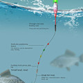 Miniatyrbillede 4 af 10: Elektronisk Fiskeflyder Light Float GREEN LIGHT PP-01 PP-01 Green Light PP-01-PP-01