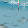 Miniatyrbillede 4 af 10: Elektronisk Fiskeflyder Light Float GREEN LIGHT PP-04 PP-04 Green Light PP-04-PP-04