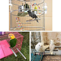 Miniatyrbilde 3 av 5: Bird Abbor Stativ Grener Leketøy Slipepinner