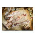Miniatyrbilde 6 av 10: Washi Tape Masking Tape 02 02 02