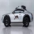 Pikkukuva 2 / 5: 2 kpl 3D Panther Auto Tarrat Eläinkuvioinen auton hupputarra