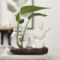 Miniatyrbillede 6 af 10: Hydroponiske plantevaser Transparent glasvase C C C
