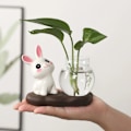 Miniatyrbillede 10 af 10: Hydroponiske plantevaser Transparent glasvase C C C