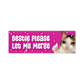 Miniatyrbilde 1 av 10: 10 stk Nice Driver Car Sticker Selvklebende Learner Driver A-10PCS