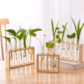 Pikkukuva 4 / 10: Hydroponic Plants Container Hydroponic Wood Frame KHAKI 3 TUBE khaki 3 tube-3 tube