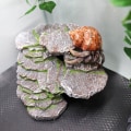 Miniatyrbilde 2 av 6: Simulering Stone Reptil Cave Hideout
