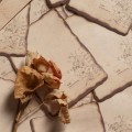 Miniatyrbilde 3 av 10: Sticky Notes Memo Pad 03 03 03