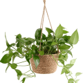 Pikkukuva 7 / 10: Puutarhaan riippuva istutuskoneen säilytyskori LUONNOLLINEN VÄRI Natural Color