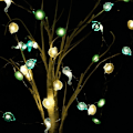 Miniatyrbillede 7 af 10: String Lights LED-lys STARFISH STYLE STARFISH STYLE Starfish style
