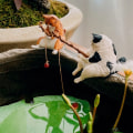 Miniatyrbild 3 av 10: Fiskekattprydnader Akvariumdekoration 2 2 2