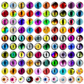 Miniatyrbillede 1 af 10: 20 stk/10 par Eyes Crafts Eyes Puppet Crystal Eyes 15MMCOLOR 15mmColor Random