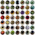 Miniatyrbild 1 av 10: 20st/10 par Eyes Crafts Eyes Puppet Crystal Eyes 18MM-FÄRG 18mm-color random
